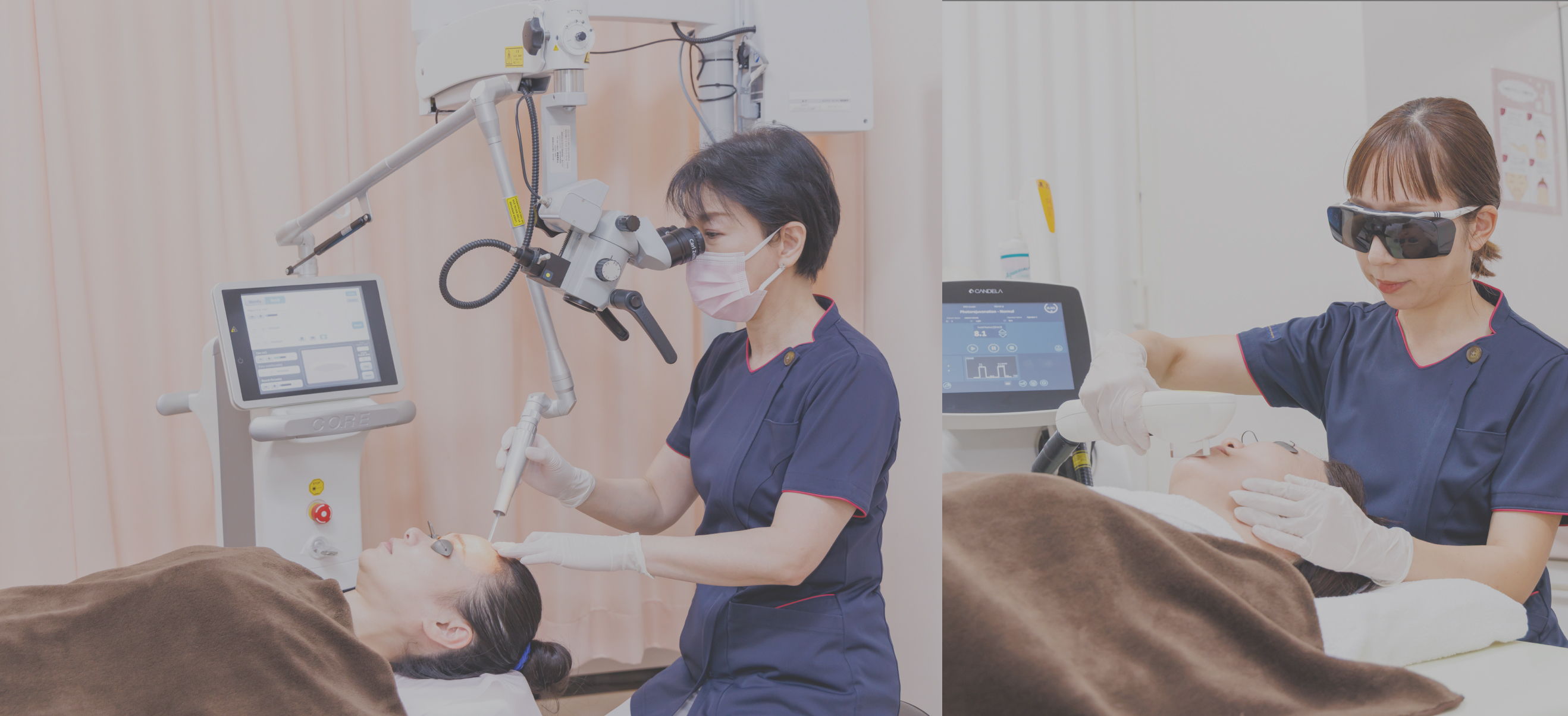 美しく健やかに