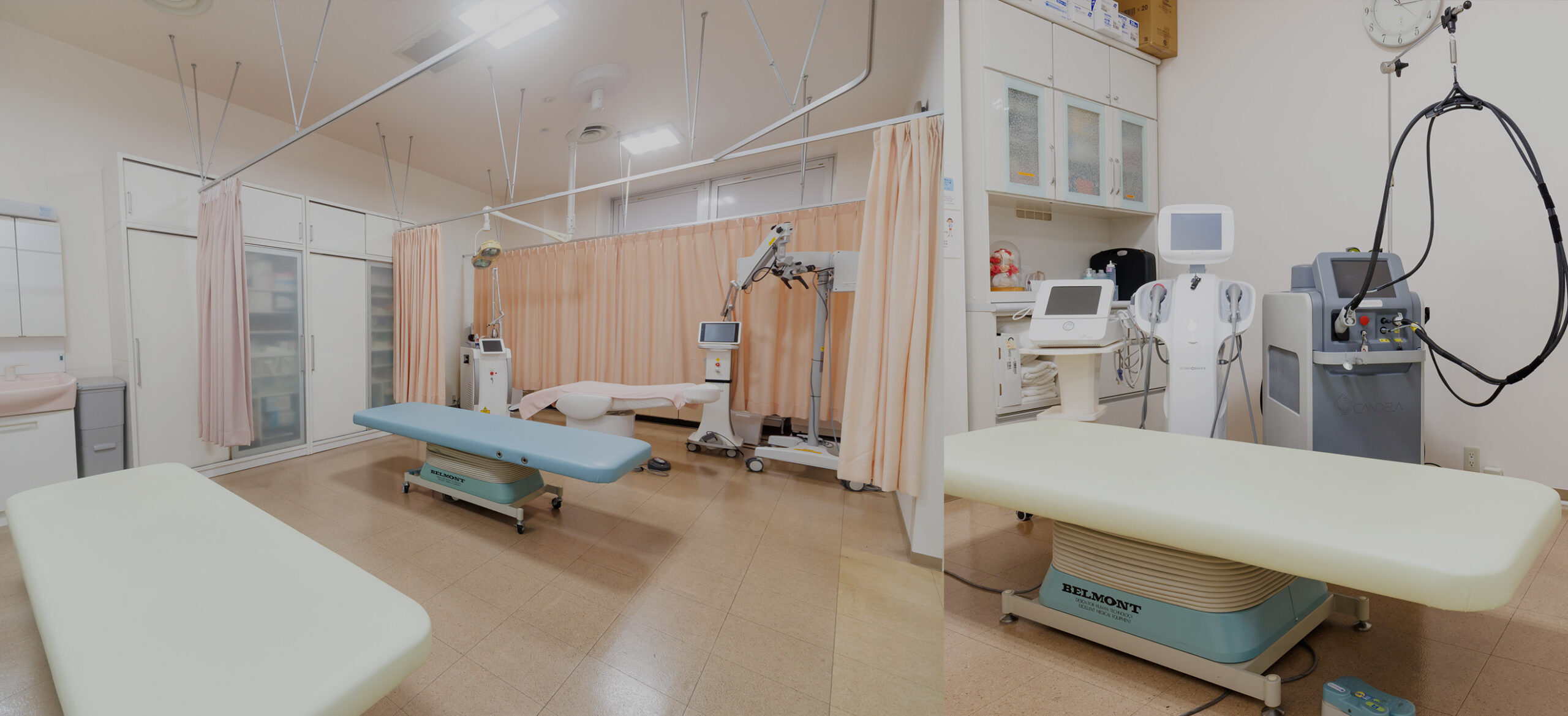 美しく健やかに